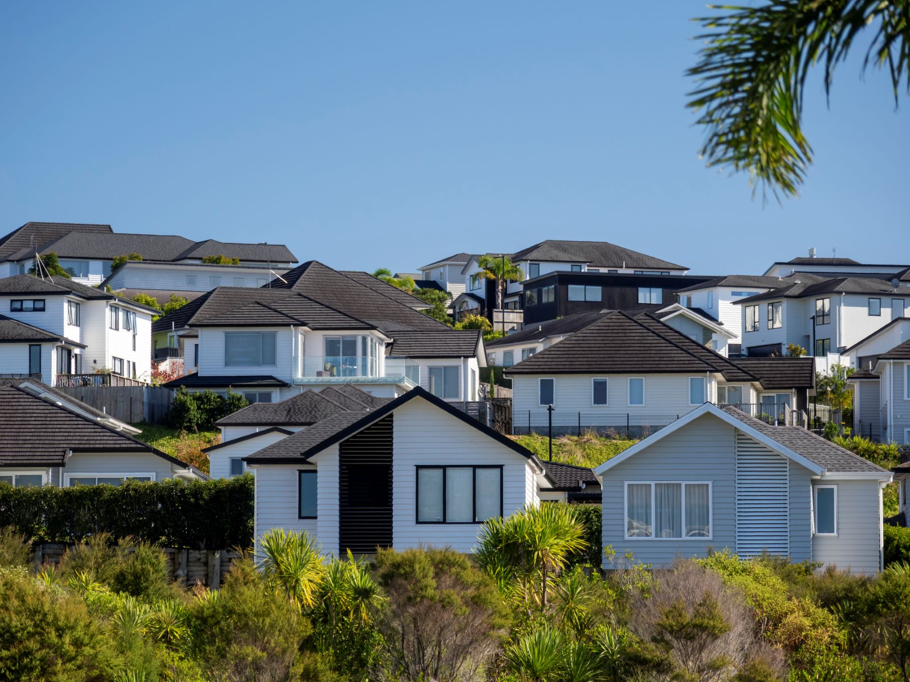 REINZ welcomes balanced, risk-based AML reforms for New Zealanders