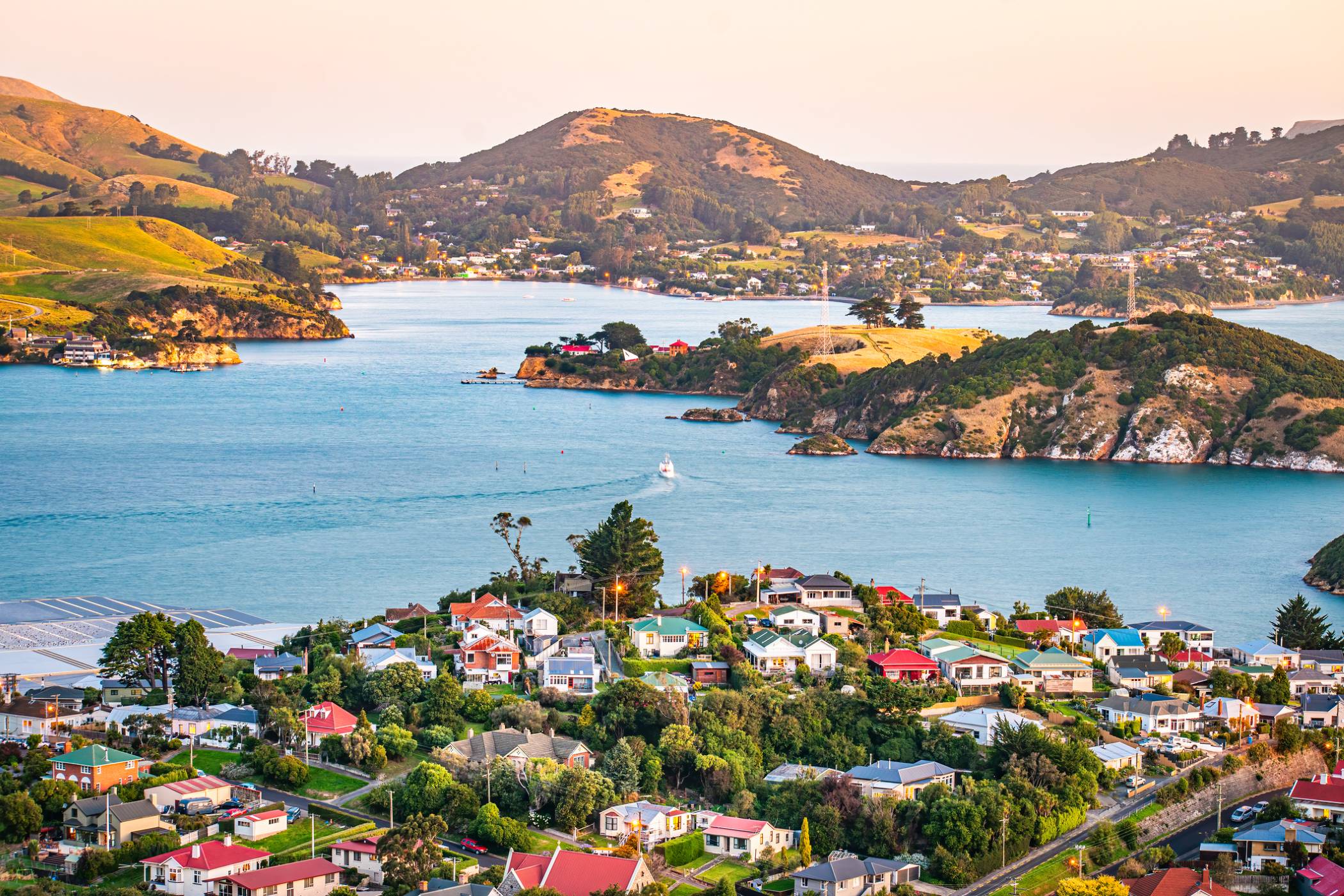 2025 in Review – How New Zealand’s Property Market Shifted From 2024