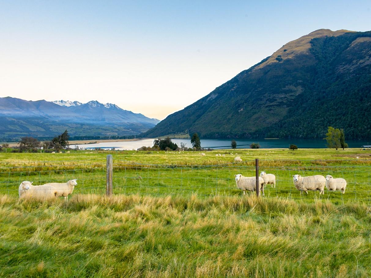 Rural and Lifestyle Data: Year Ending December 2025